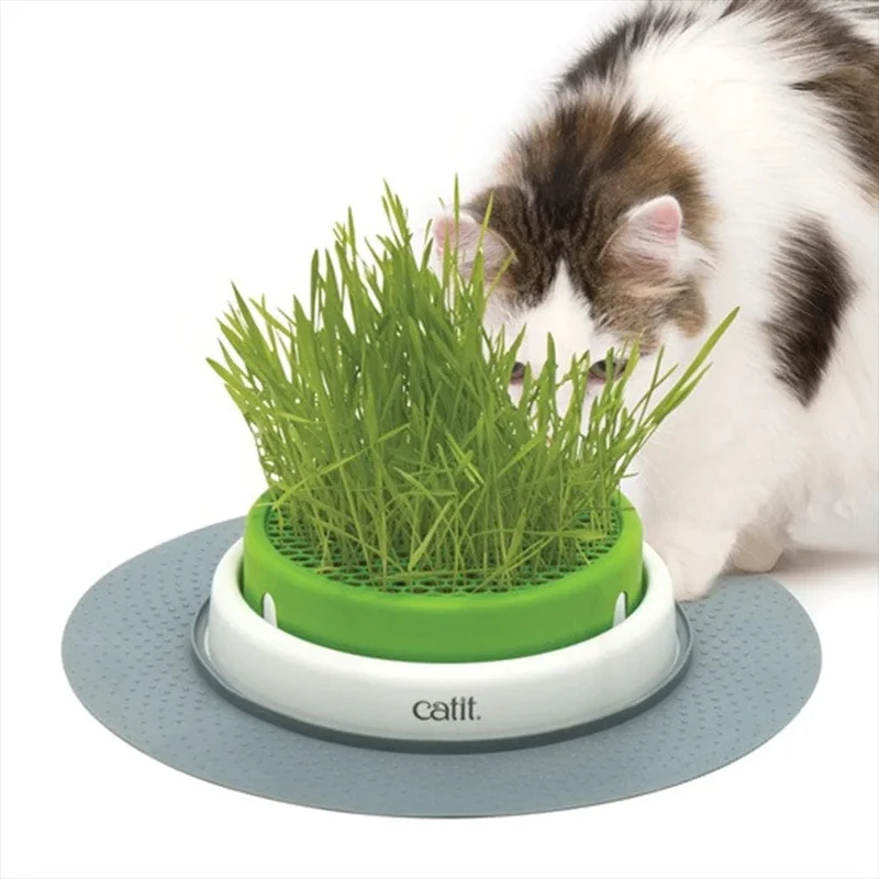 Catit Senses 2.0 Grass Planter