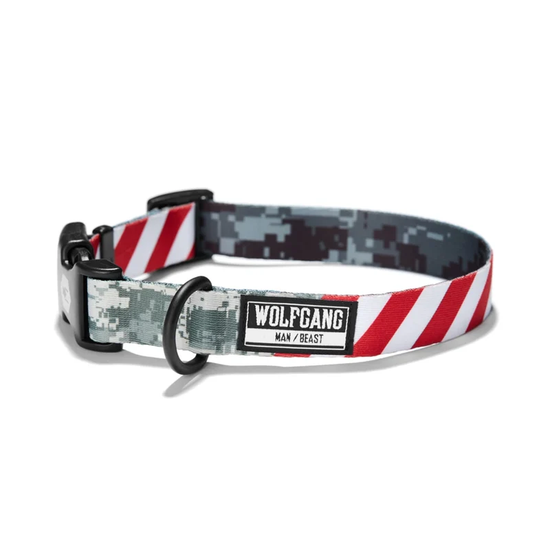 Hundehalsband | DigitalDog