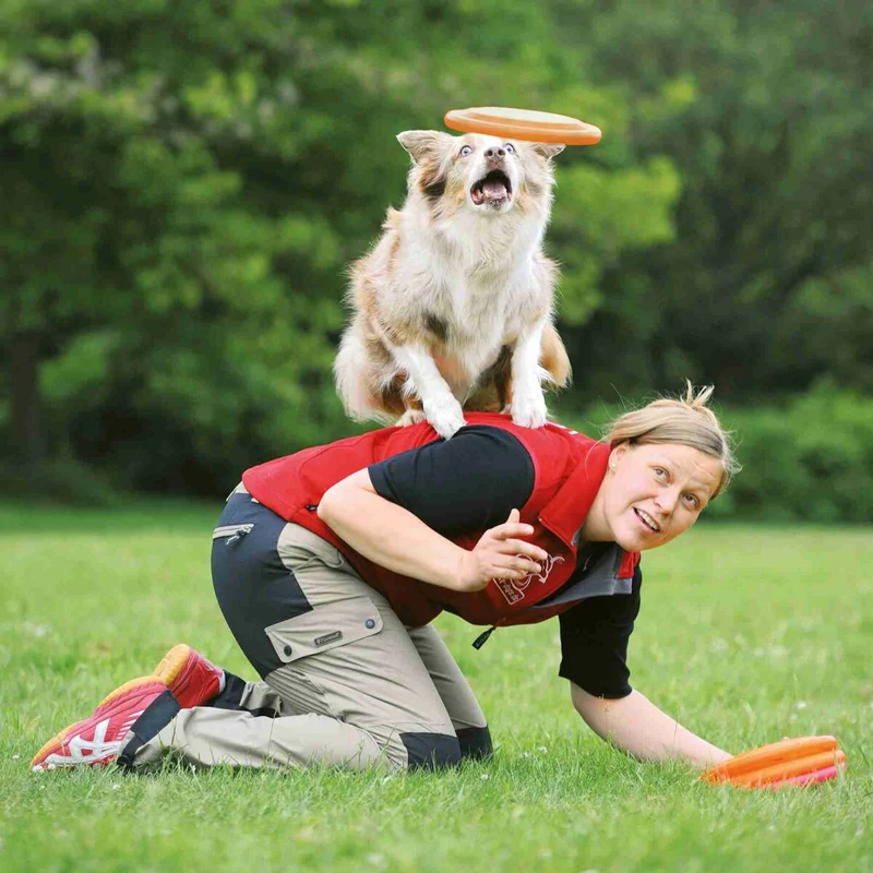 Dog Disc, Kunststoff