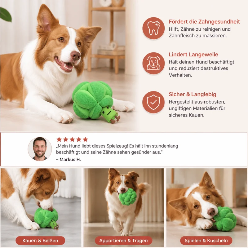 Schnüffel-Brokkoli - Interaktives Leckerli-Spielzeug