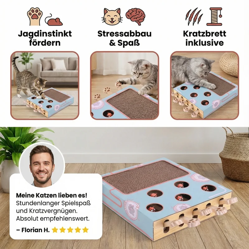 3in1 Spielbox für Katzen