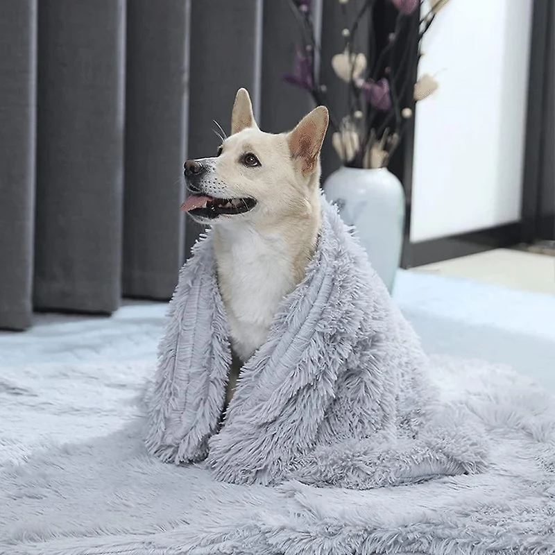 Hundedecke