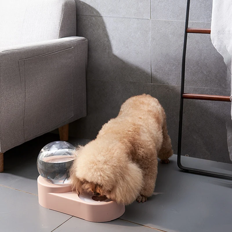 Wasser-Futter-Station