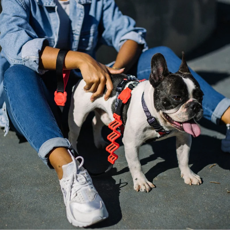 Hundeleine | Ruff Leash Fatboy