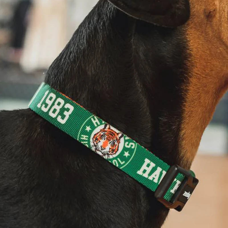 Hundehalsband, Hawkins "Stranger Things Collection"