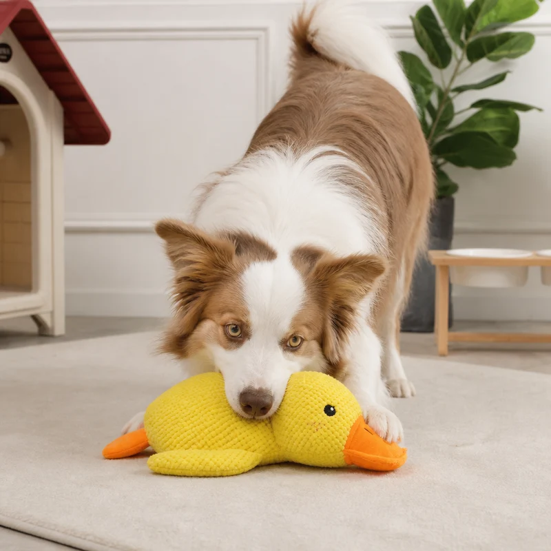 Anti-Stress Ente - Kuscheltier für Hunde
