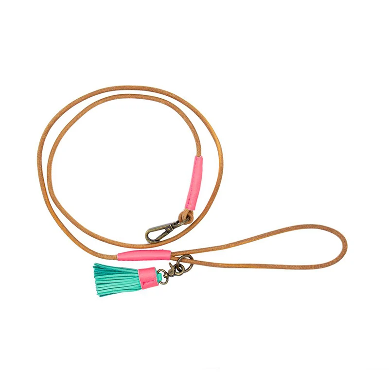 Hundeleine | Dushi