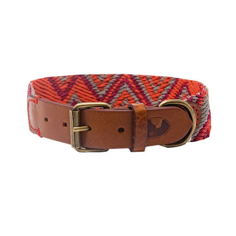 Hundehalsband Peruvian Pikes