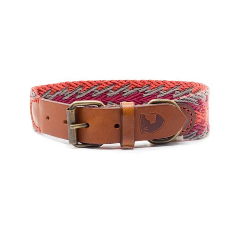 Hundehalsband Peruvian Arrow Orange
