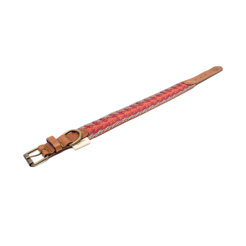 Hundehalsband Peruvian Arrow Orange