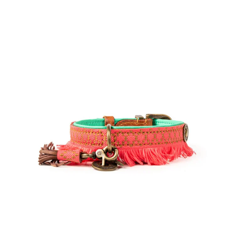 Hundehalsband | Holly