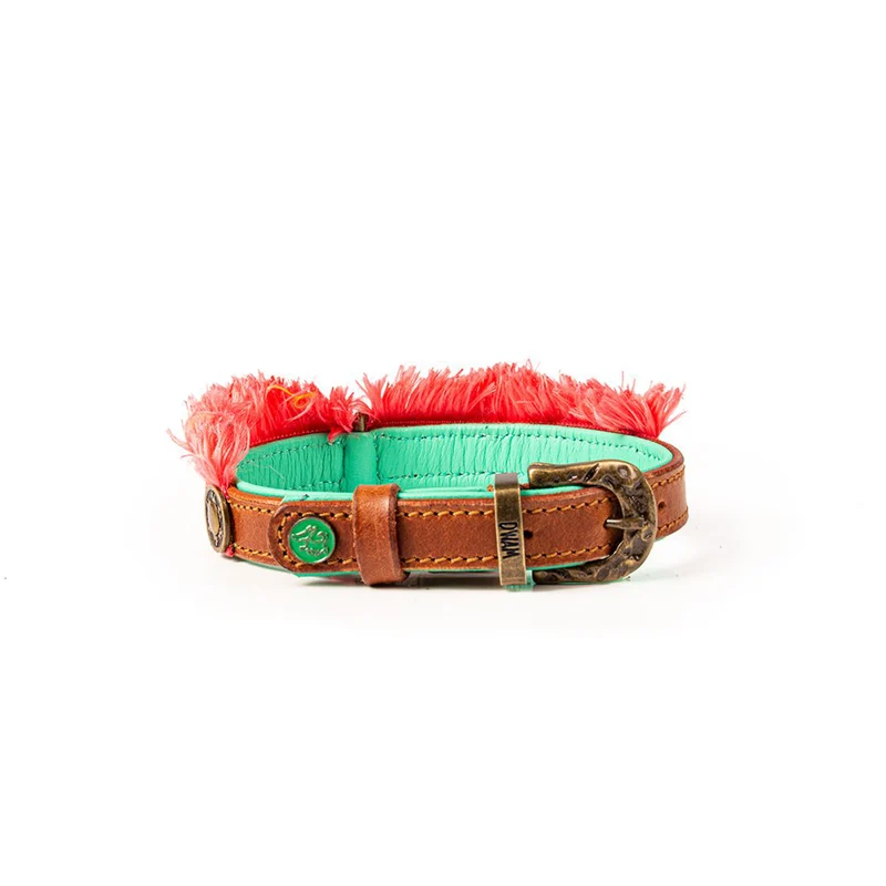 Hundehalsband | Holly