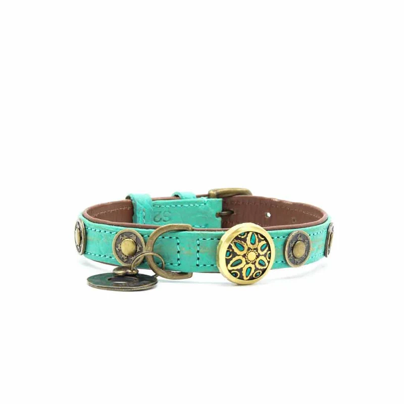 Hundehalsband | Rebel