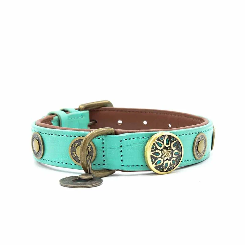 Hundehalsband | Rebel