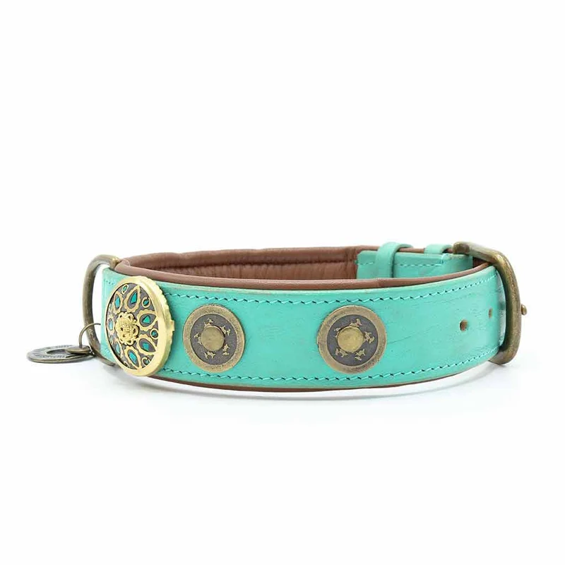 Hundehalsband | Rebel