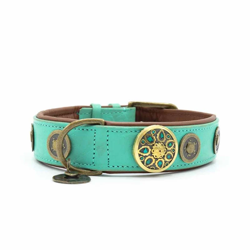 Hundehalsband | Rebel