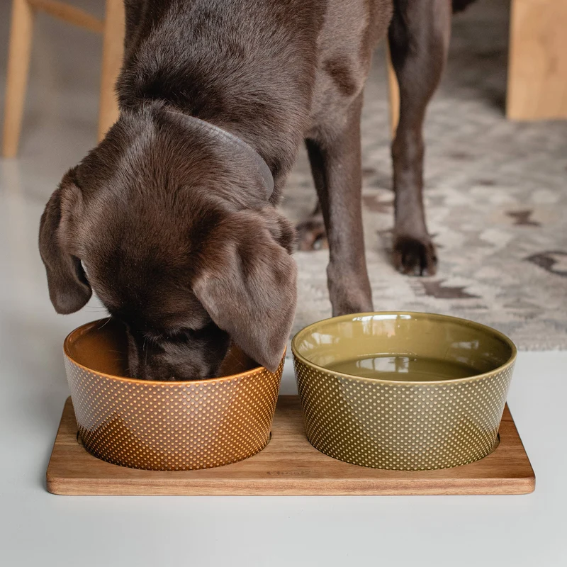Napfunterlage Dog Station | Akazienholz