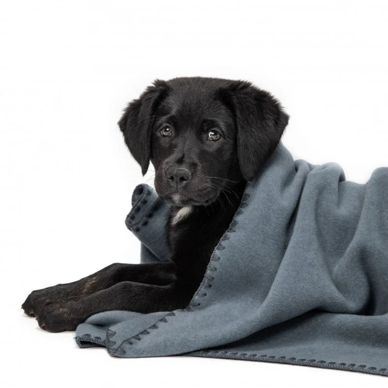 Hundedecke Soft Fleece | Dove Blue