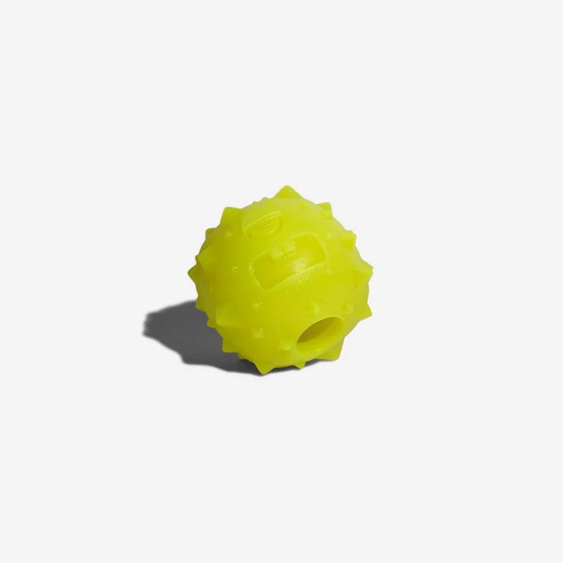 Hundespielzeug Rob The Microbe