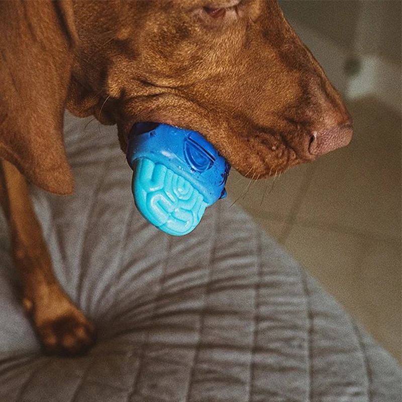 Hundespielzeug Brain Freeze