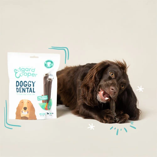 Doggy Dental Apple & Eucalyptus