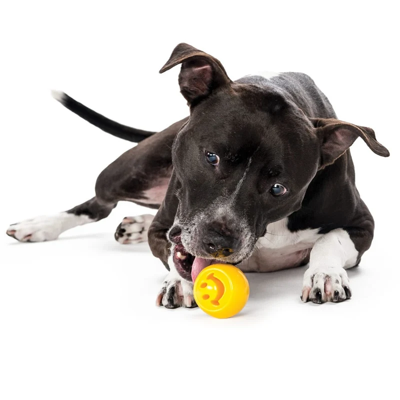 Hundespielzeug Orbee-Tuff® Nook | Green Paw