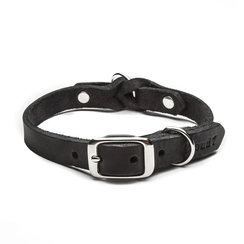 Hundehalsband Riverside Park | Black