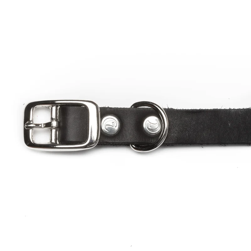 Hundehalsband Riverside Park | Black