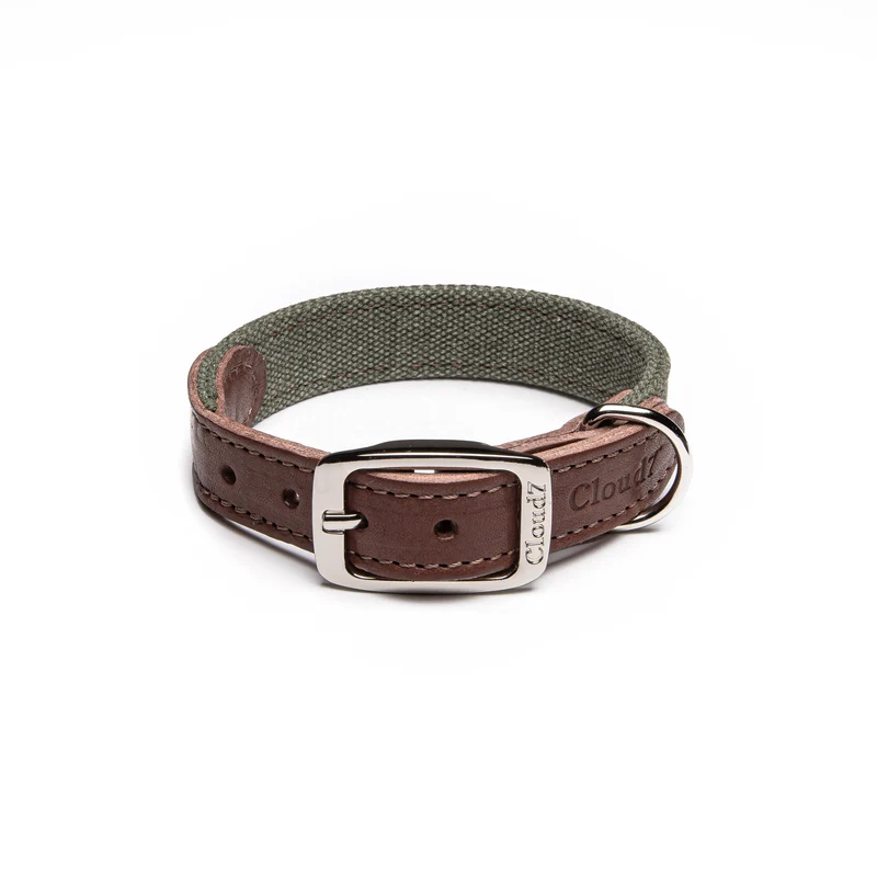 Hundehalsband Tivoli | Olive
