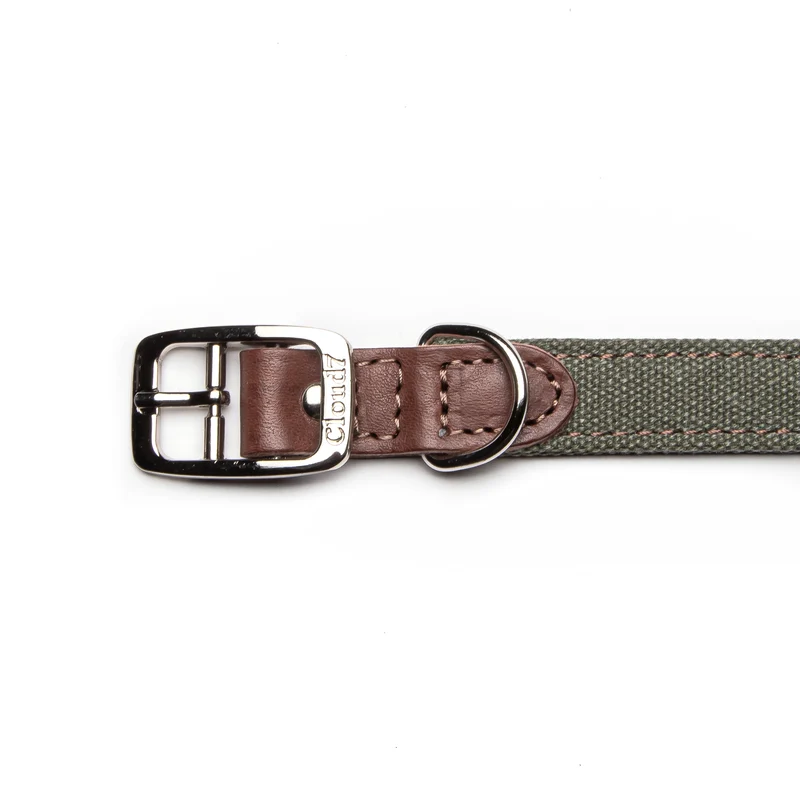 Hundehalsband Tivoli | Olive