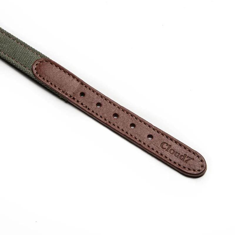 Hundehalsband Tivoli | Olive