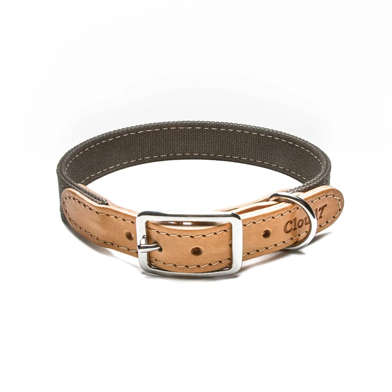 Hundehalsband Tivoli | Greige