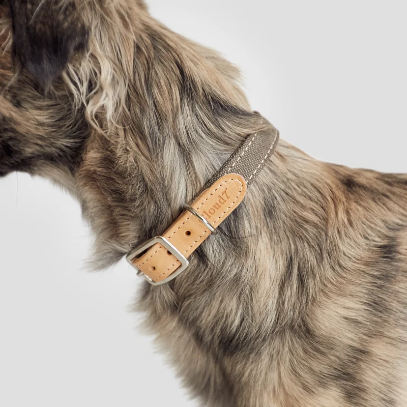 Hundehalsband Tivoli | Greige