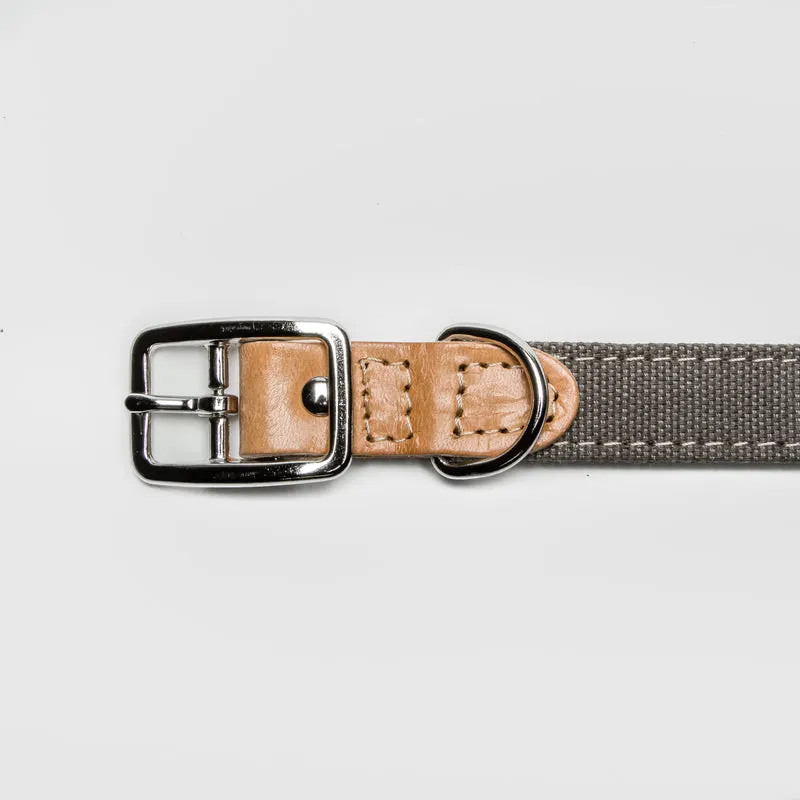Hundehalsband Tivoli | Greige