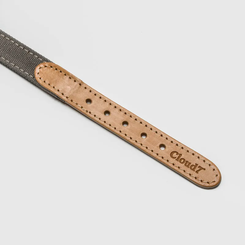 Hundehalsband Tivoli | Greige