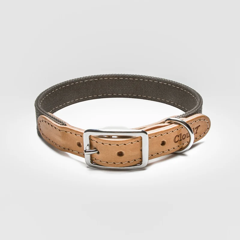 Hundehalsband Tivoli | Greige