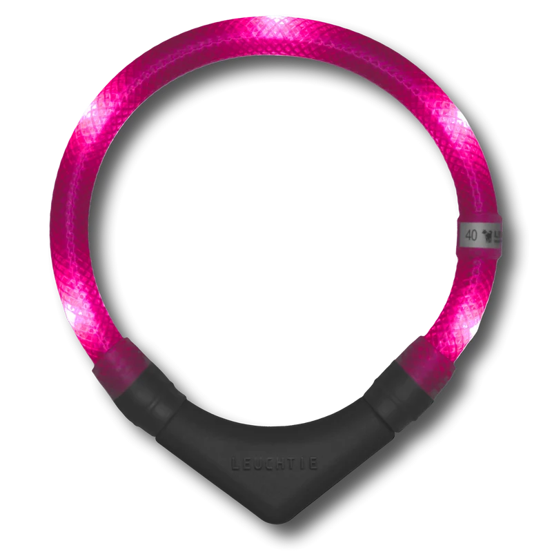Hunde-Leuchthalsband Plus | Hotpink