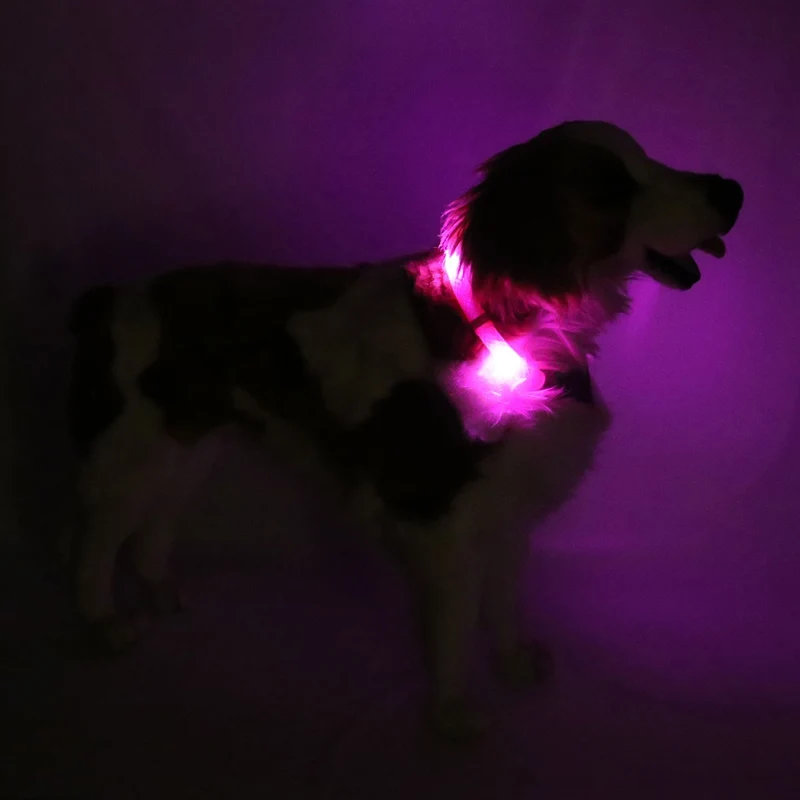 Hunde-Leuchthalsband Plus | Hotpink