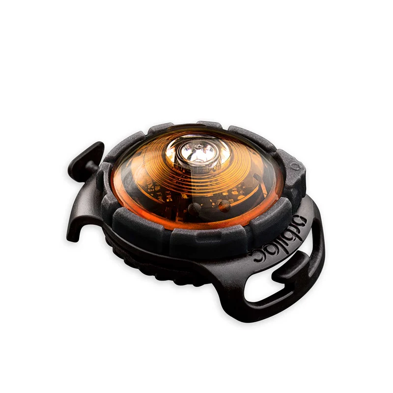 Dog Dual Safety Light