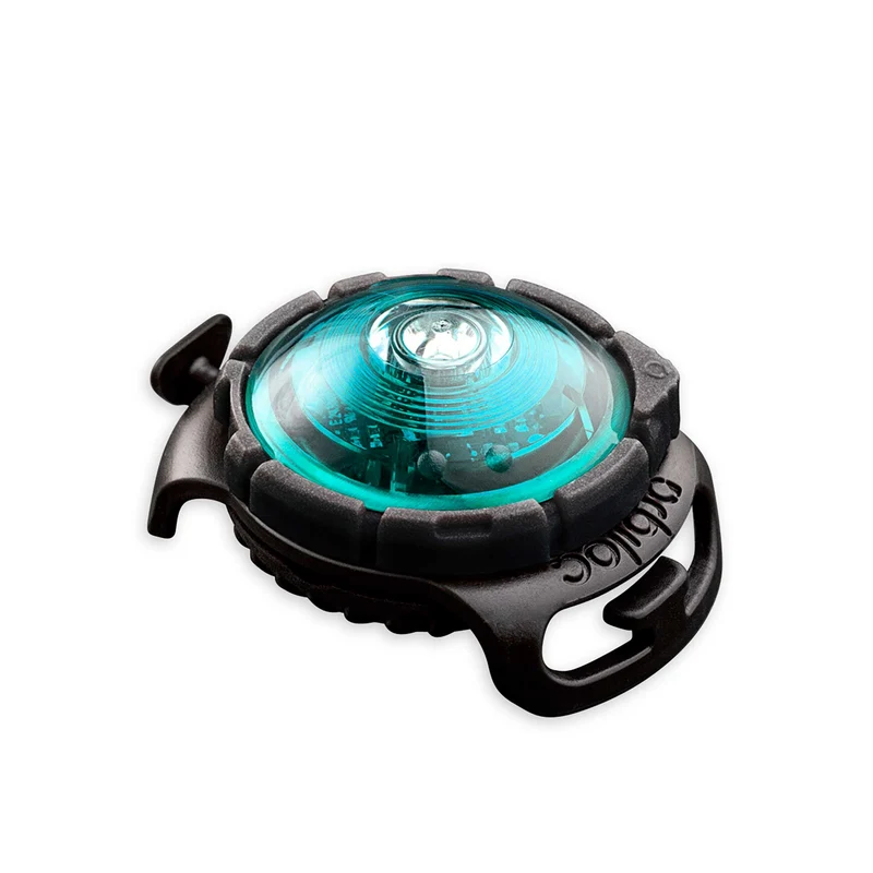 Dog Dual Safety Light
