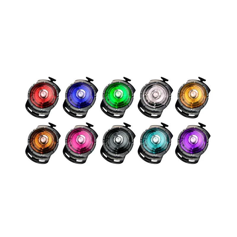 Dog Dual Safety Light