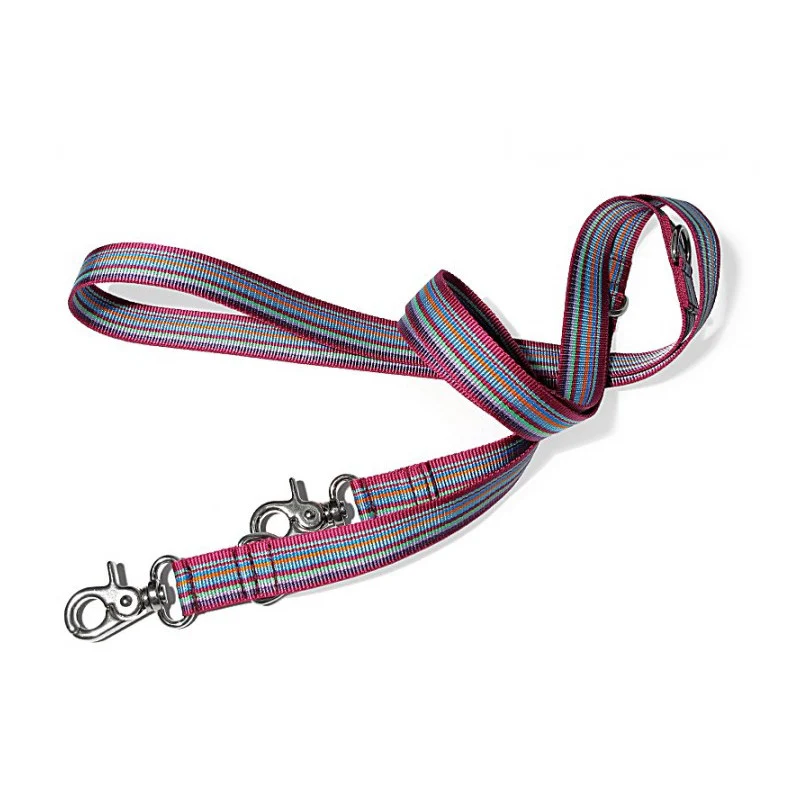 Hundeleine Stripes | Lilabunt