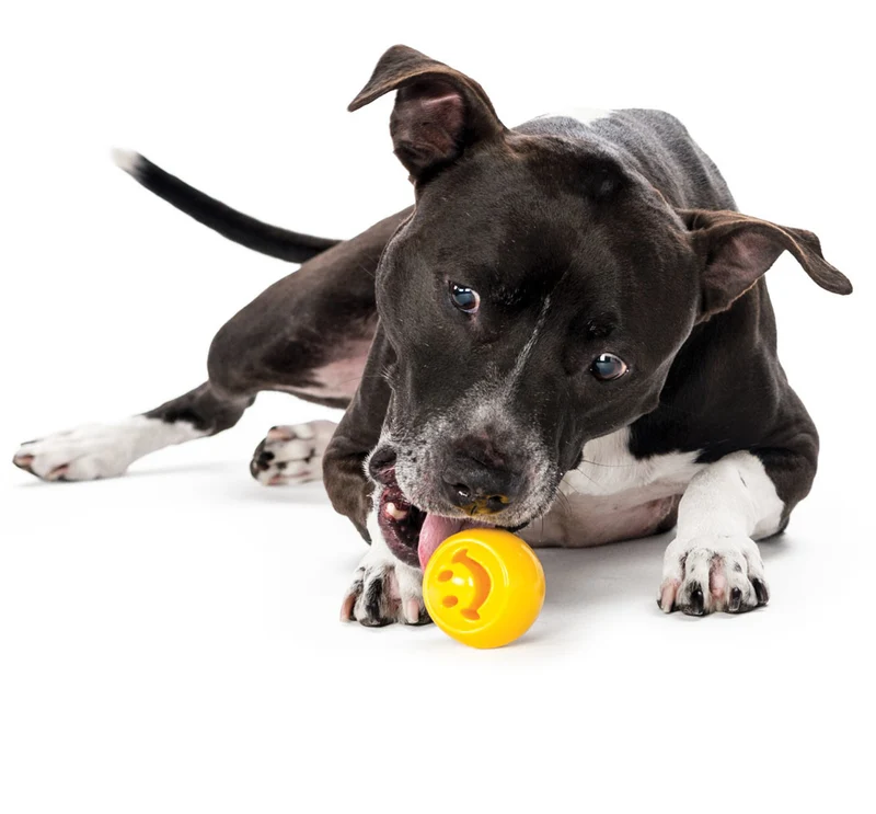 Hundespielzeug Orbee-Tuff® Nook | Smiley
