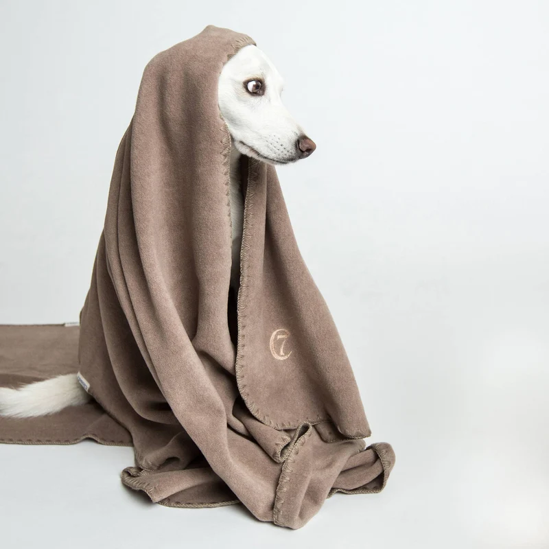 Hundedecke Soft Fleece | Sand