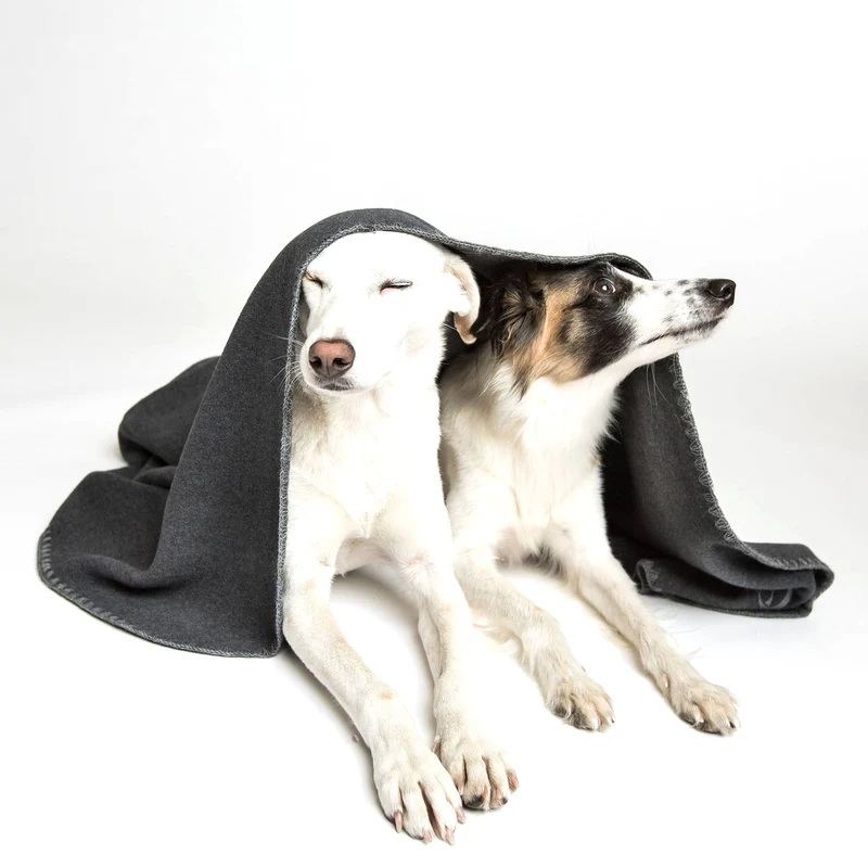 Hundedecke Soft Fleece | Dark Grey