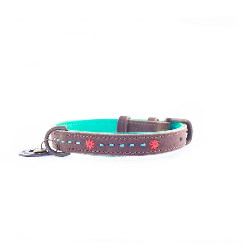 Hundehalsband | Joplin