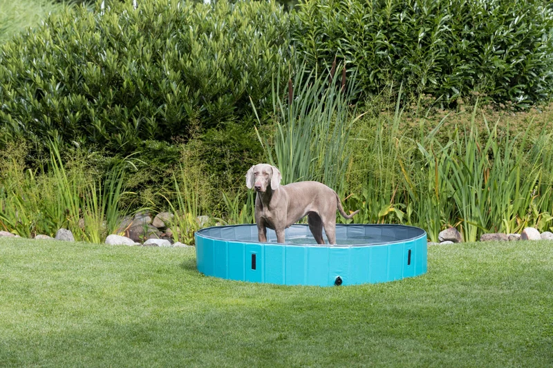 Hundepool
