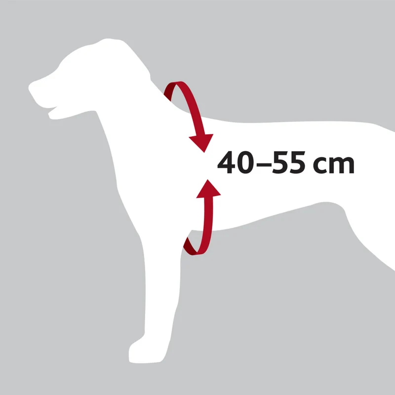 Hundeautogeschirr Comfort zur Sicherung auf Brusthöhe, mit Polsterung