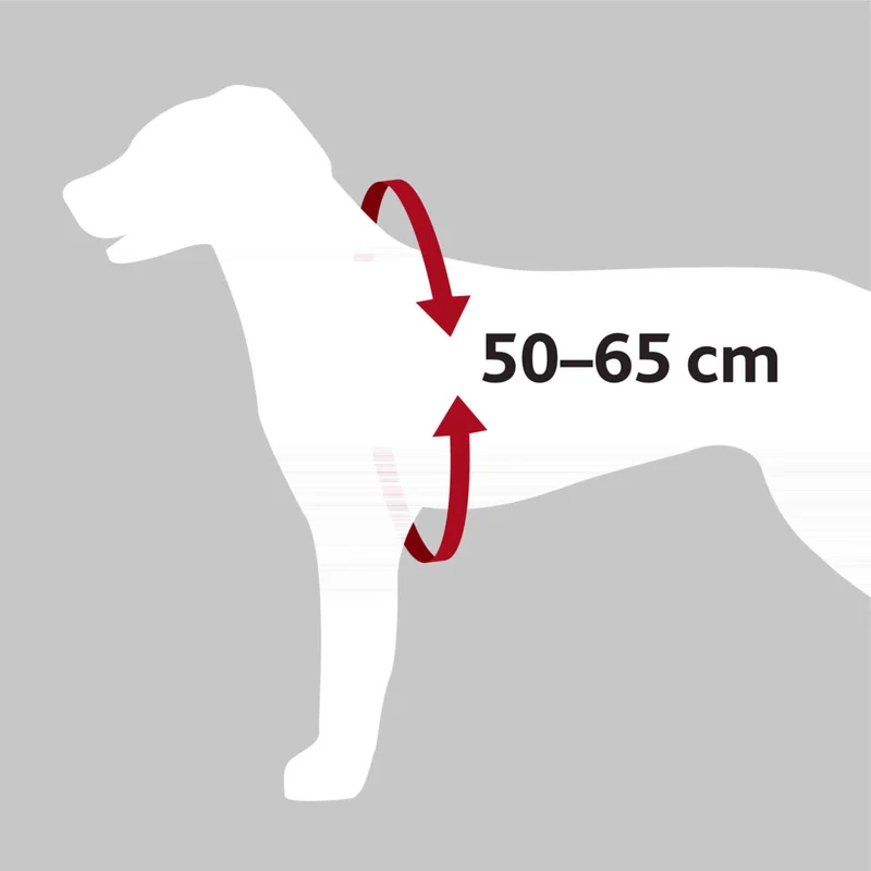 Hundeautogeschirr Comfort zur Sicherung auf Brusthöhe, mit Polsterung
