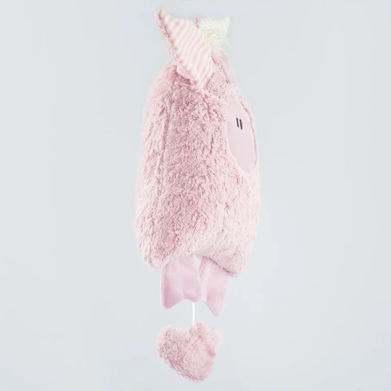 Spieluhr Schwein